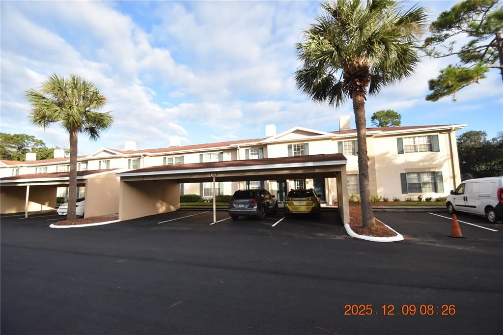 出租: $1,850 (2 贝兹, 2 浴室, 1208 平方英尺)