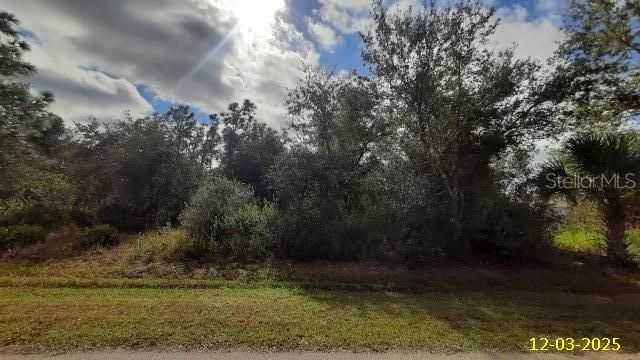 For Sale: $20,000 (0.22 acres)