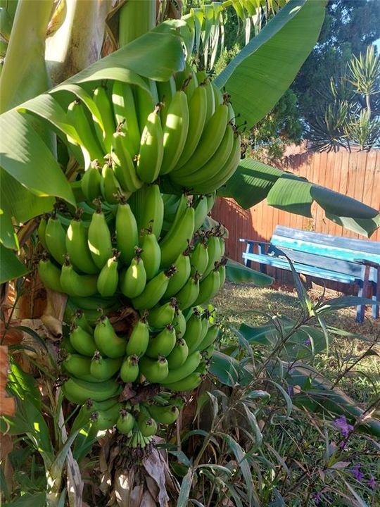 En Venta: $425,000 (3 camas, 3 baños, 1722 Pies cuadrados)