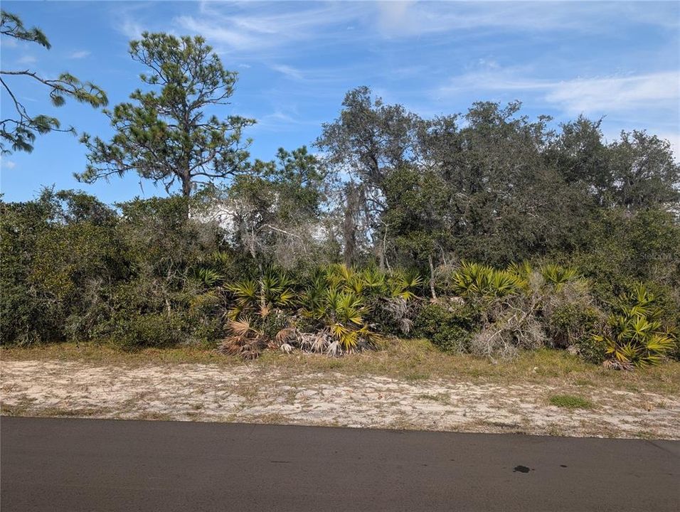 待售: $17,500 (0.50 acres)