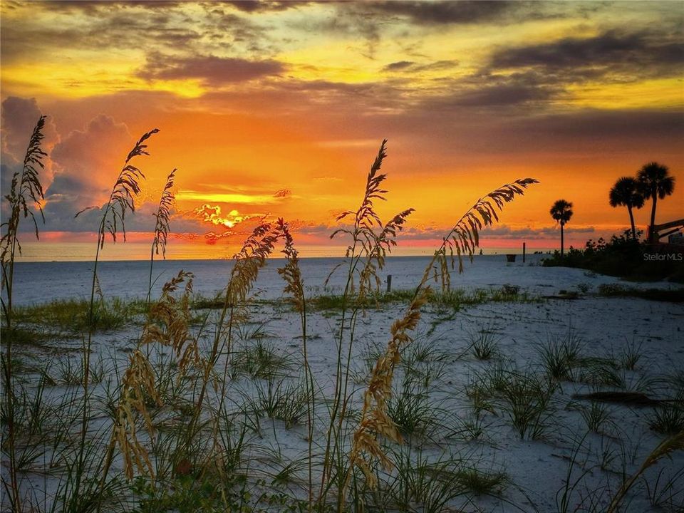 En Venta: $1,195,000 (2 camas, 2 baños, 1200 Pies cuadrados)