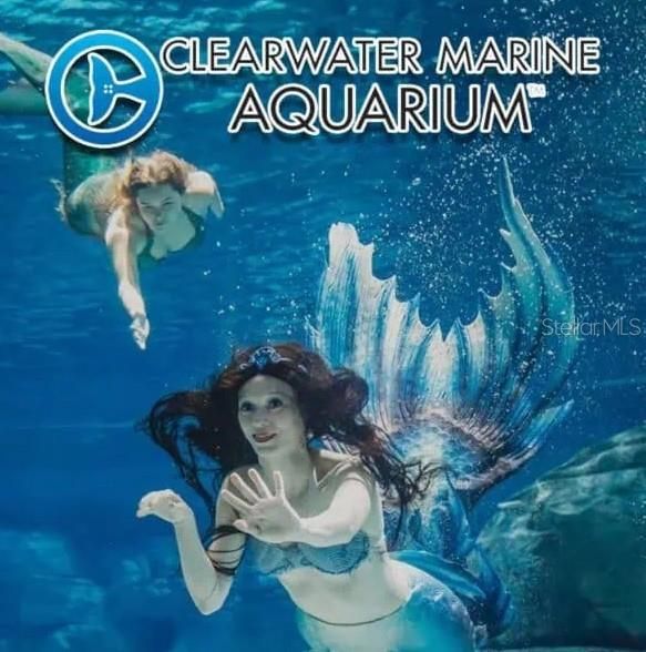 En Venta: $99,900 (2 camas, 2 baños, 1400 Pies cuadrados)