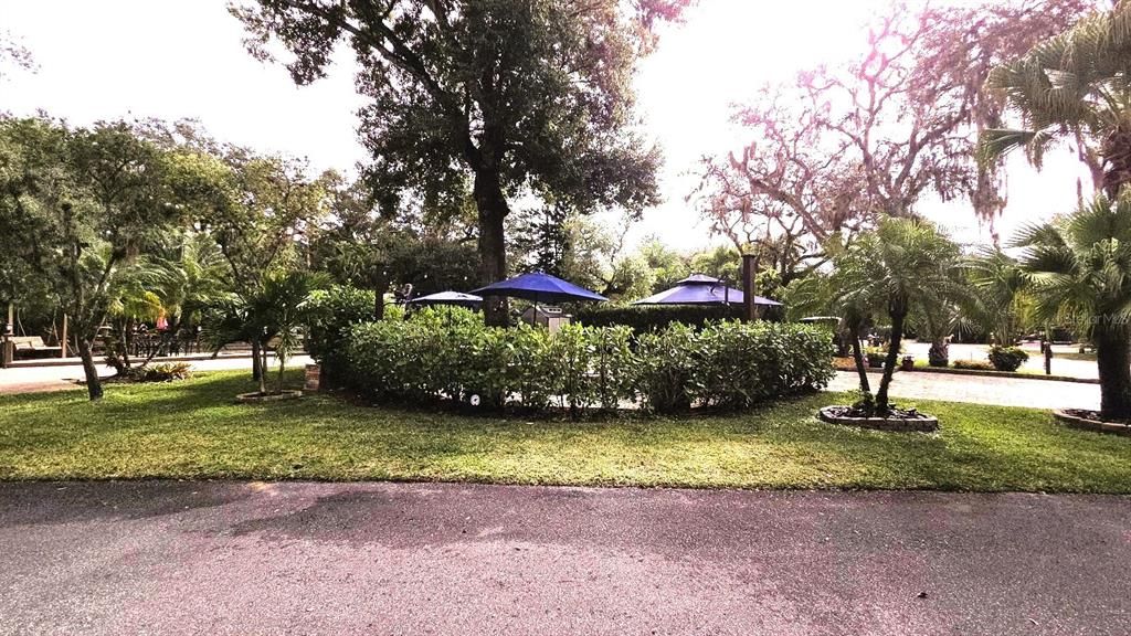 待售: $279,000 (0.08 acres)