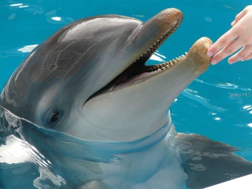 出租: $4,000 (2 贝兹, 2 浴室, 1111 平方英尺)