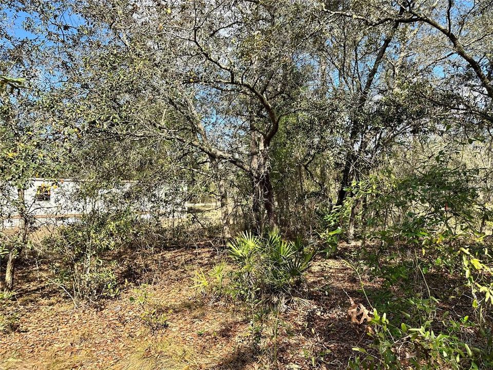 На продажу: $8,000 (0.24 acres)