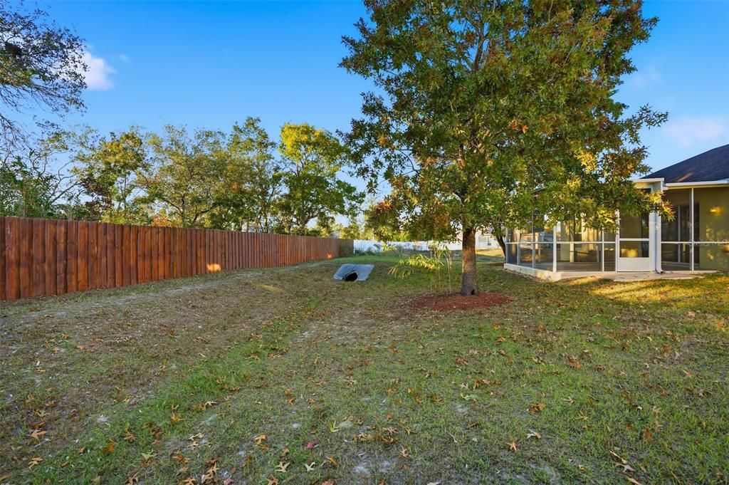 Active With Contract: $1,700 (4 beds, 2 baths, 1772 Square Feet)