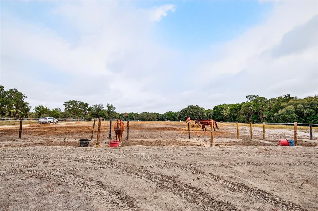 待售: $425,000 (4 贝兹, 3 浴室, 2356 平方英尺)