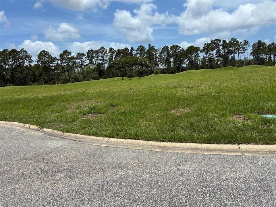 For Sale: $125,000 (0.17 acres)