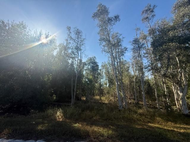 For Sale: $18,000 (0.22 acres)