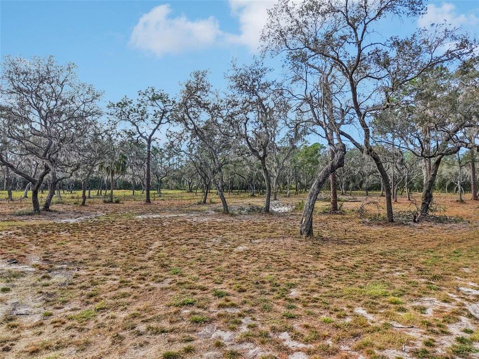For Sale: $325,000 (4.69 acres)