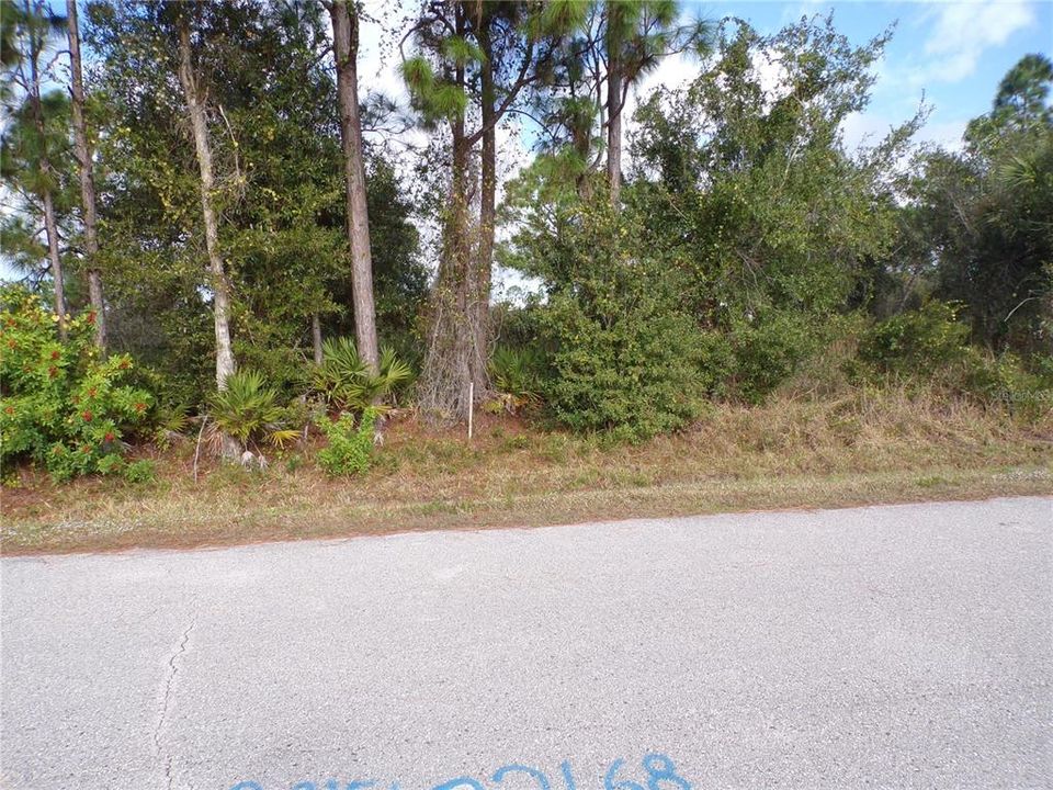 На продажу: $19,990 (0.34 acres)