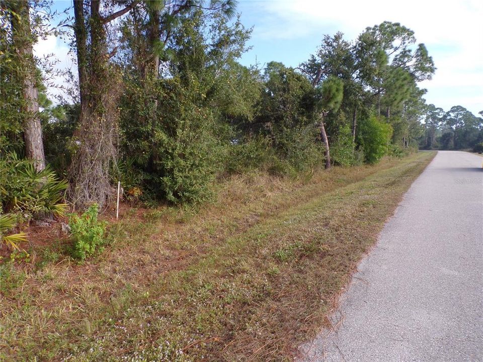 На продажу: $19,990 (0.34 acres)