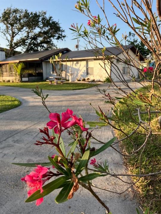 For Sale: $312,700 (2 beds, 2 baths, 1849 Square Feet)