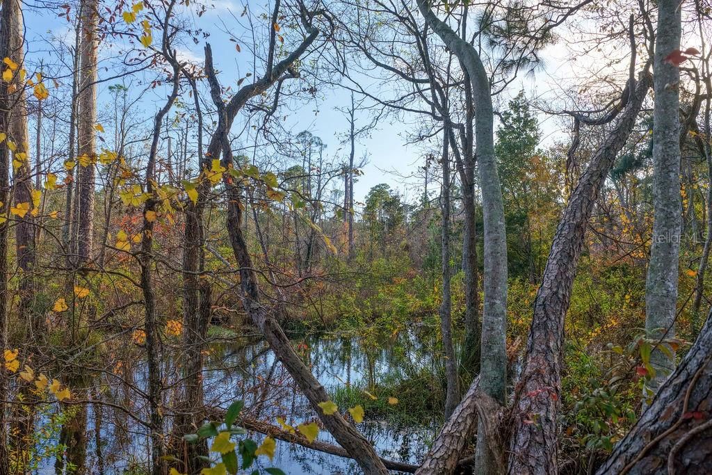 En Venta: $25,000 (0.84 acres)