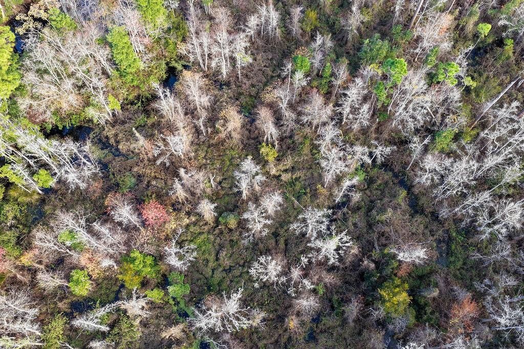 En Venta: $25,000 (0.84 acres)