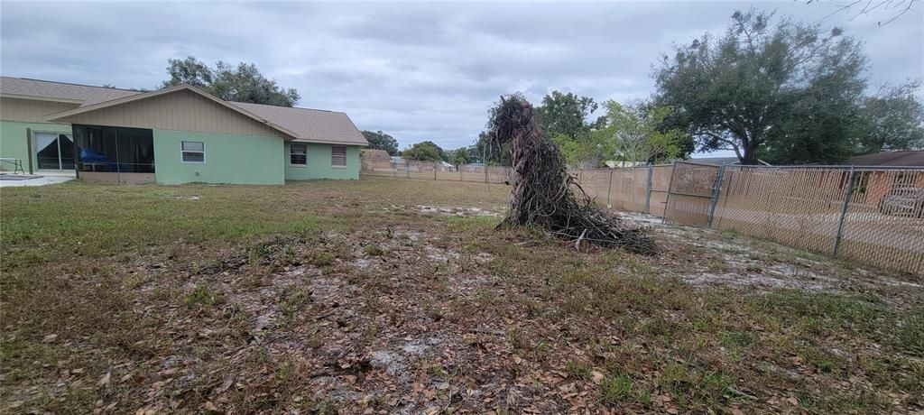 待售: $295,000 (3 贝兹, 2 浴室, 1817 平方英尺)