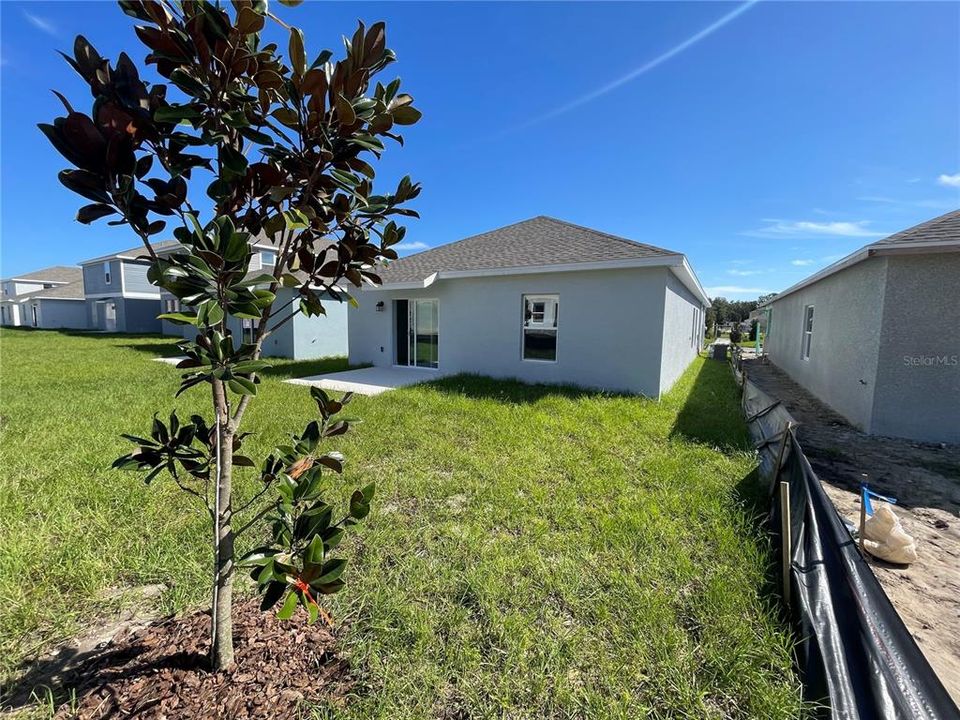 В аренду: $2,250 (3 спален, 2 ванн, 1432 Квадратных фут)