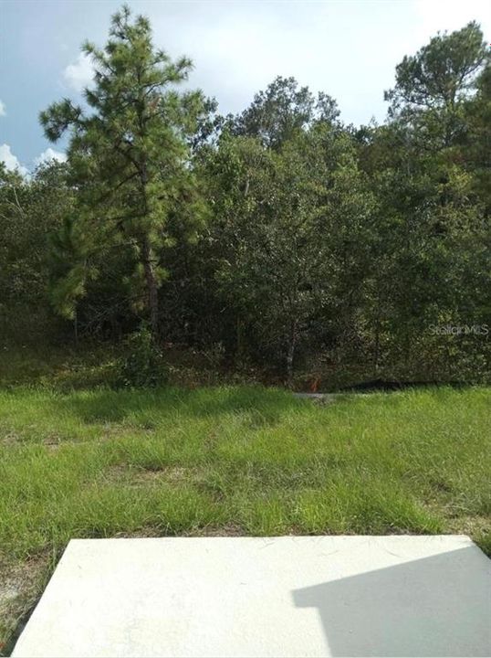 For Rent: $2,400 (3 beds, 2 baths, 1672 Square Feet)