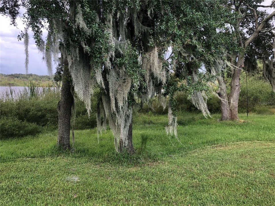 出租: $1,725 (2 贝兹, 2 浴室, 1184 平方英尺)