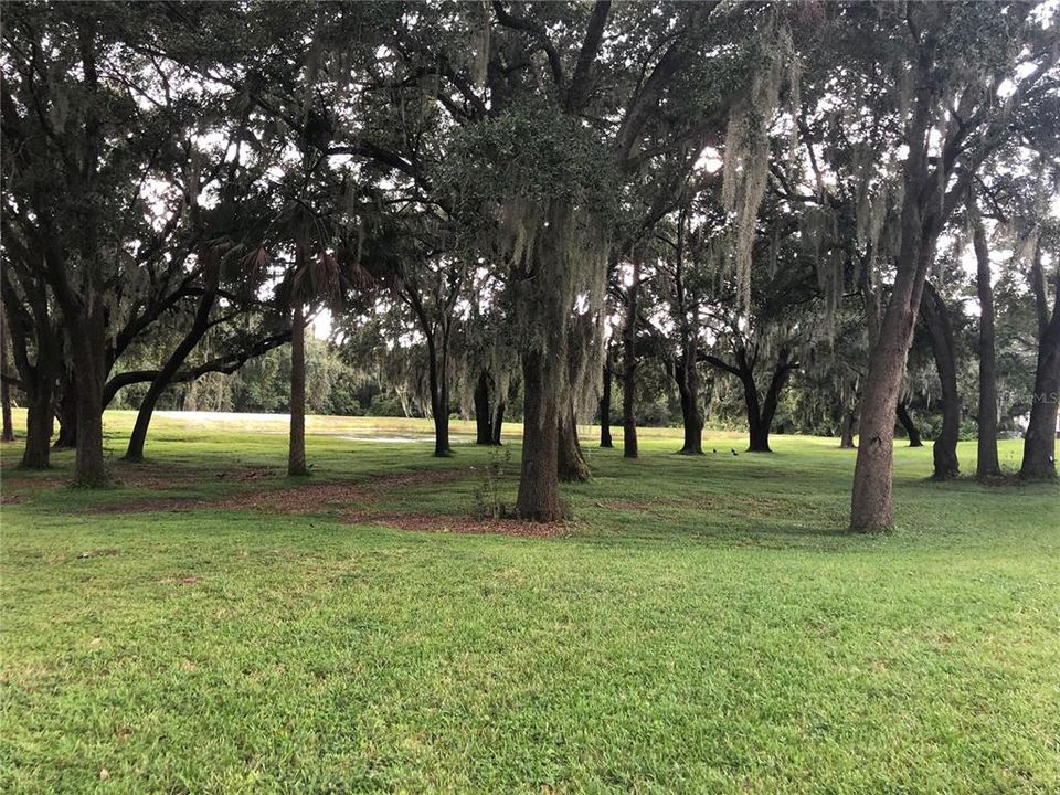 出租: $1,725 (2 贝兹, 2 浴室, 1184 平方英尺)