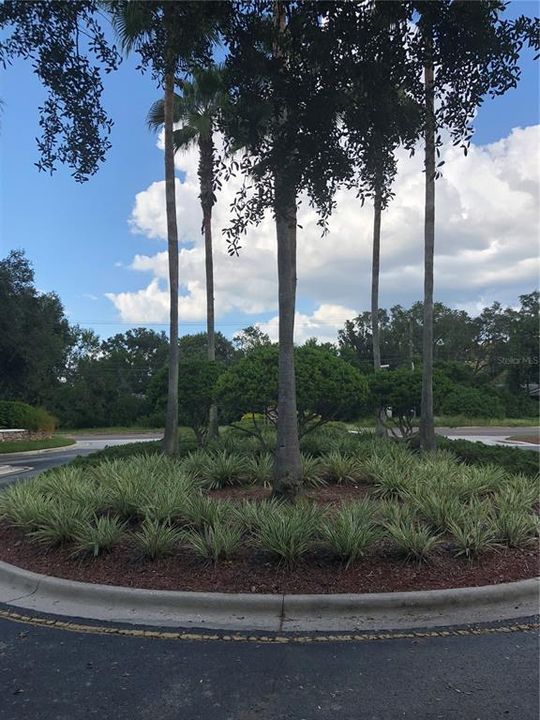 出租: $1,725 (2 贝兹, 2 浴室, 1184 平方英尺)