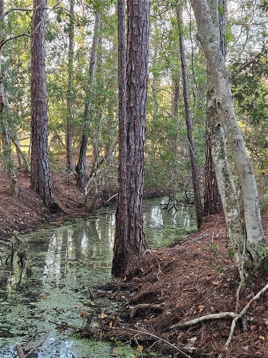 For Sale: $303,000 (2 beds, 2 baths, 1508 Square Feet)