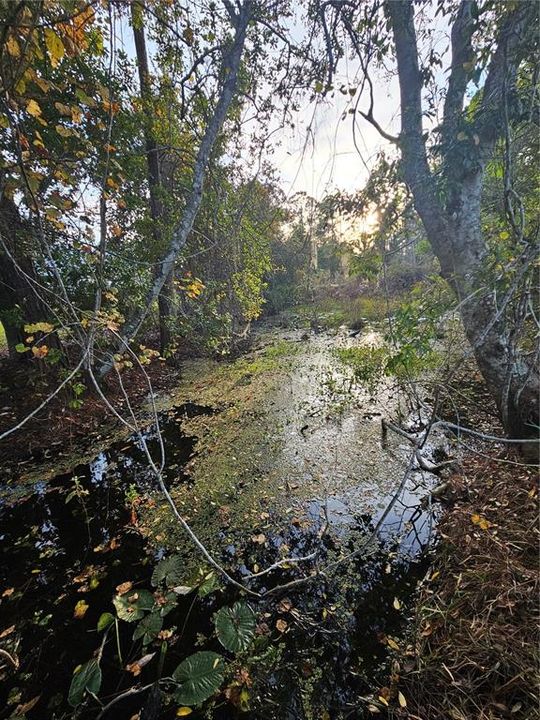 For Sale: $303,000 (2 beds, 2 baths, 1508 Square Feet)