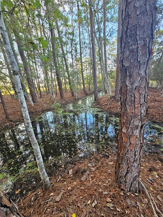 For Sale: $303,000 (2 beds, 2 baths, 1508 Square Feet)