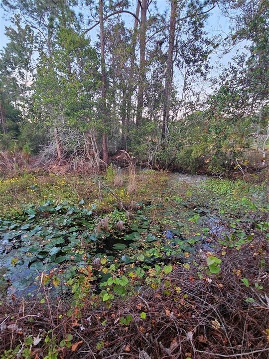 For Sale: $303,000 (2 beds, 2 baths, 1508 Square Feet)