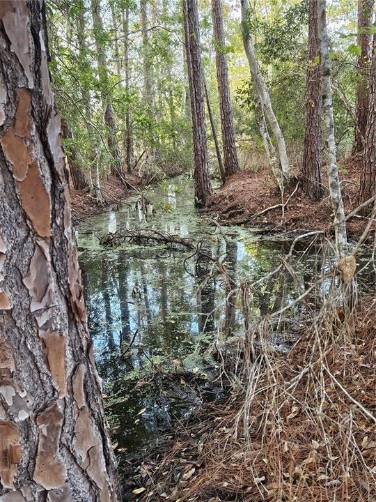 For Sale: $303,000 (2 beds, 2 baths, 1508 Square Feet)