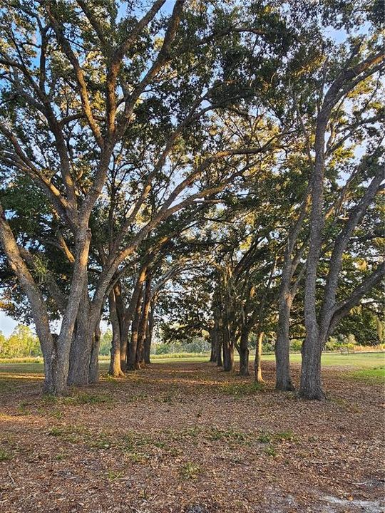 For Sale: $303,000 (2 beds, 2 baths, 1508 Square Feet)