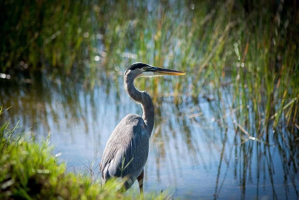 For Sale: $510,000 (2 beds, 2 baths, 1345 Square Feet)