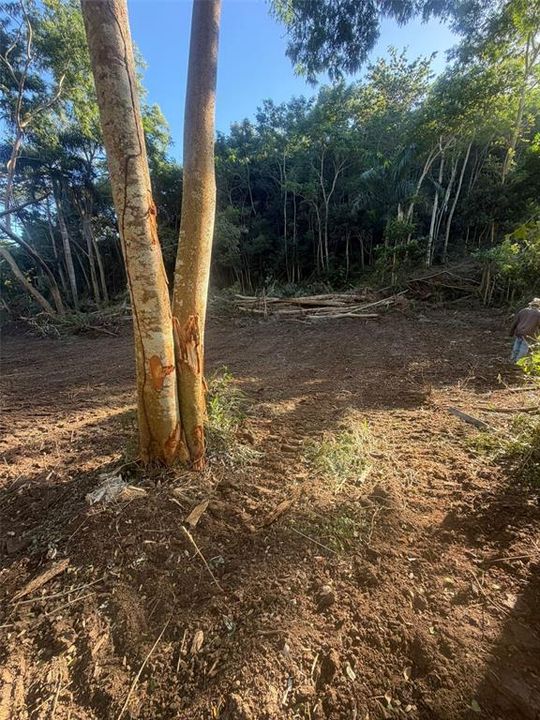 En Venta: $575,000 (3.42 acres)