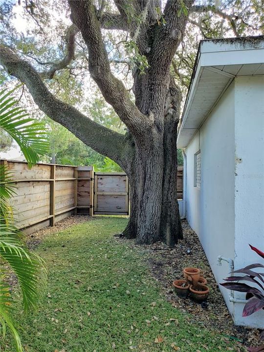 En Renta: $3,300 (3 camas, 2 baños, 1402 Pies cuadrados)