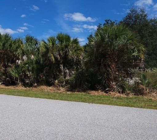 На продажу: $17,000 (0.23 acres)