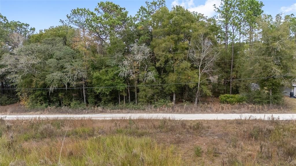 For Sale: $39,000 (0.46 acres)