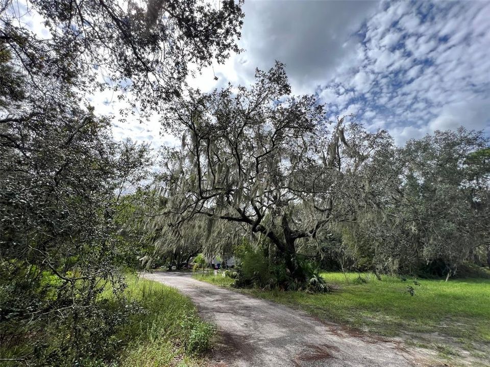 For Sale: $695,000 (5.03 acres)