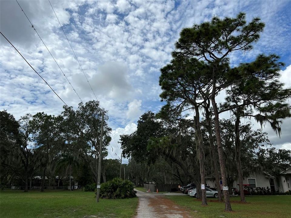 For Sale: $695,000 (5.03 acres)