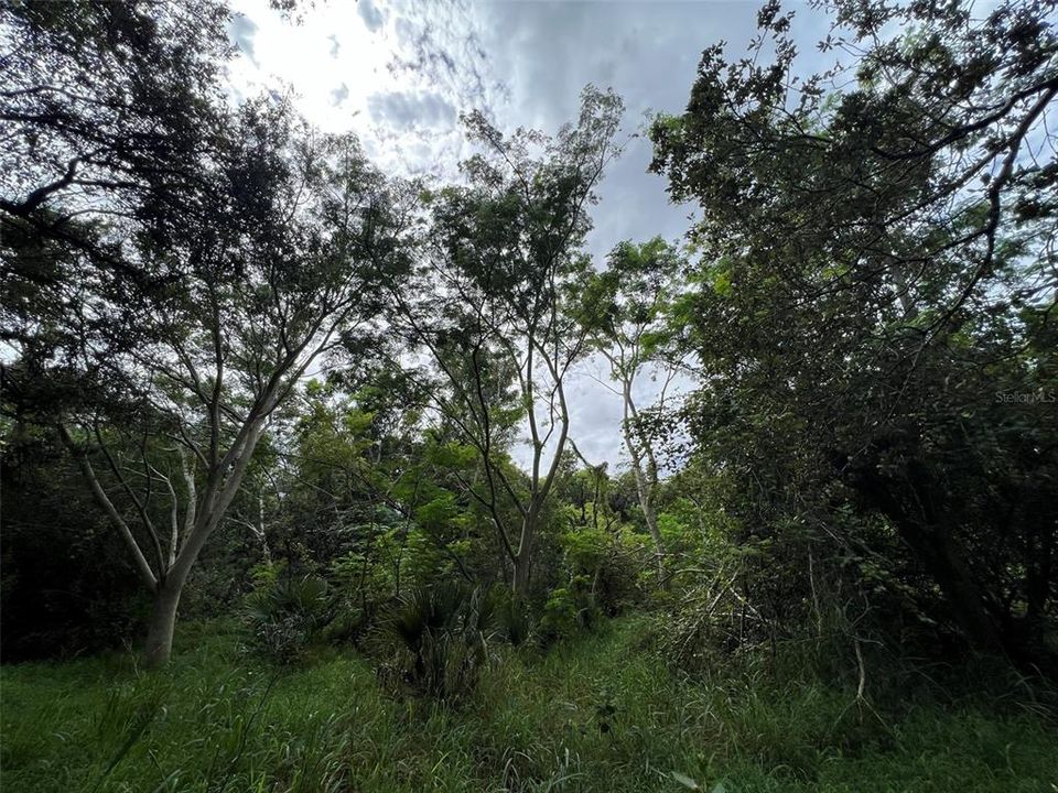 For Sale: $695,000 (5.03 acres)