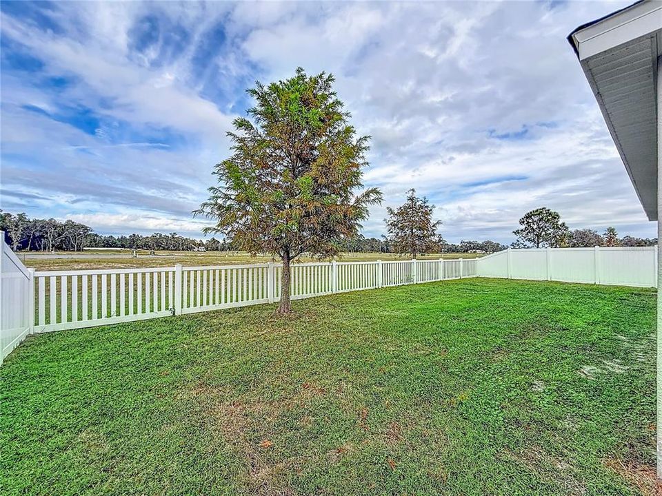 For Rent: $2,400 (4 beds, 2 baths, 1711 Square Feet)