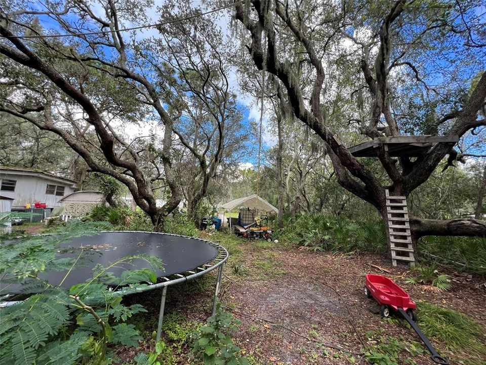 На продажу: $695,000 (3 спален, 2 ванн, 1344 Квадратных фут)