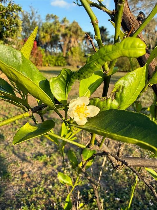 En Venta: $799,000 (3 camas, 2 baños, 2184 Pies cuadrados)