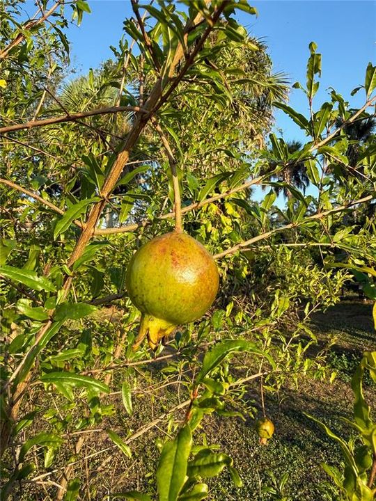 En Venta: $799,000 (3 camas, 2 baños, 2184 Pies cuadrados)