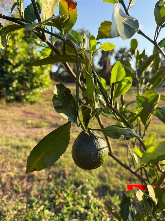 En Venta: $799,000 (3 camas, 2 baños, 2184 Pies cuadrados)