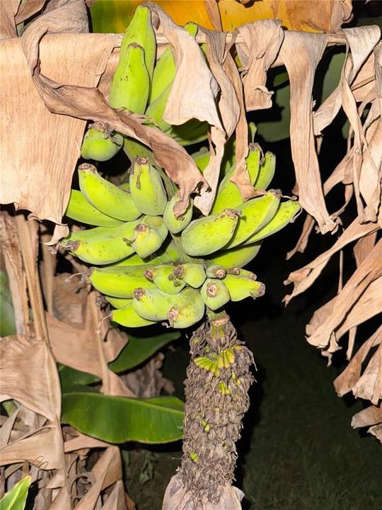 En Venta: $799,000 (3 camas, 2 baños, 2184 Pies cuadrados)