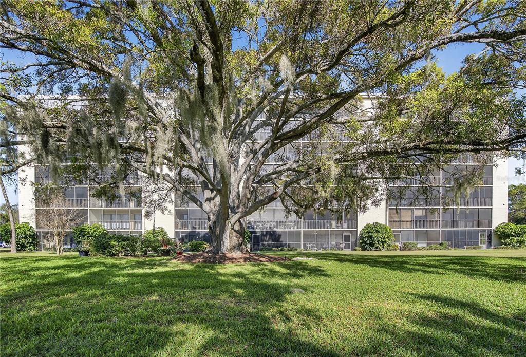 For Rent: $1,799 (2 beds, 2 baths, 1070 Square Feet)