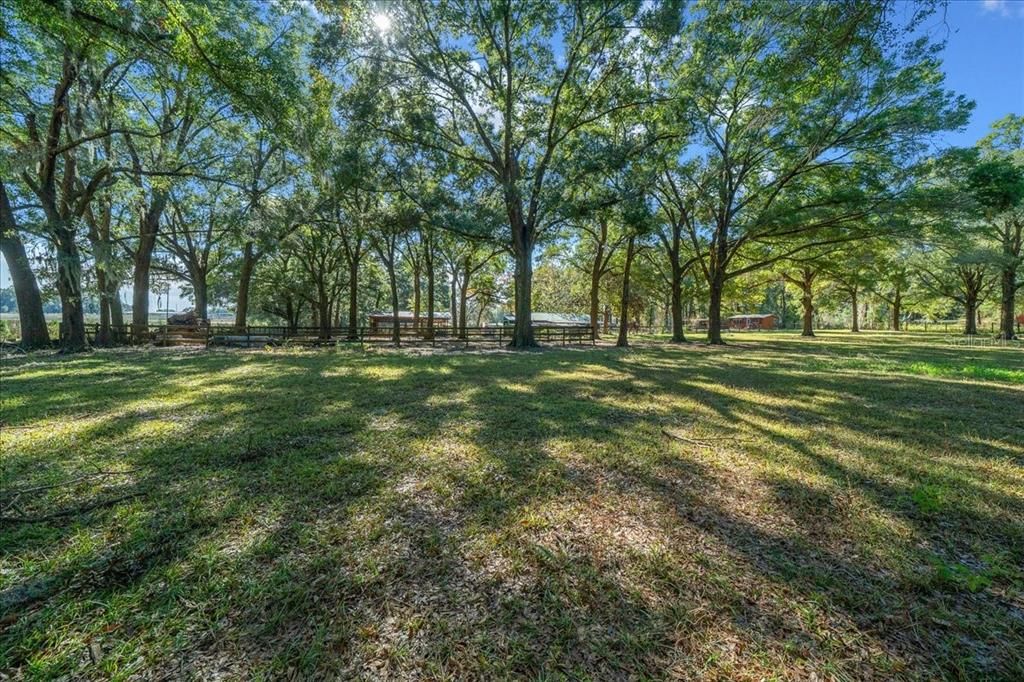 For Sale: $649,900 (3 beds, 2 baths, 1430 Square Feet)