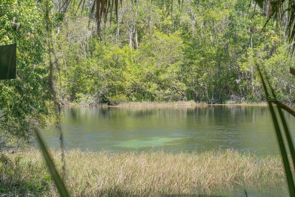 For Sale: $270,000 (3 beds, 2 baths, 1588 Square Feet)