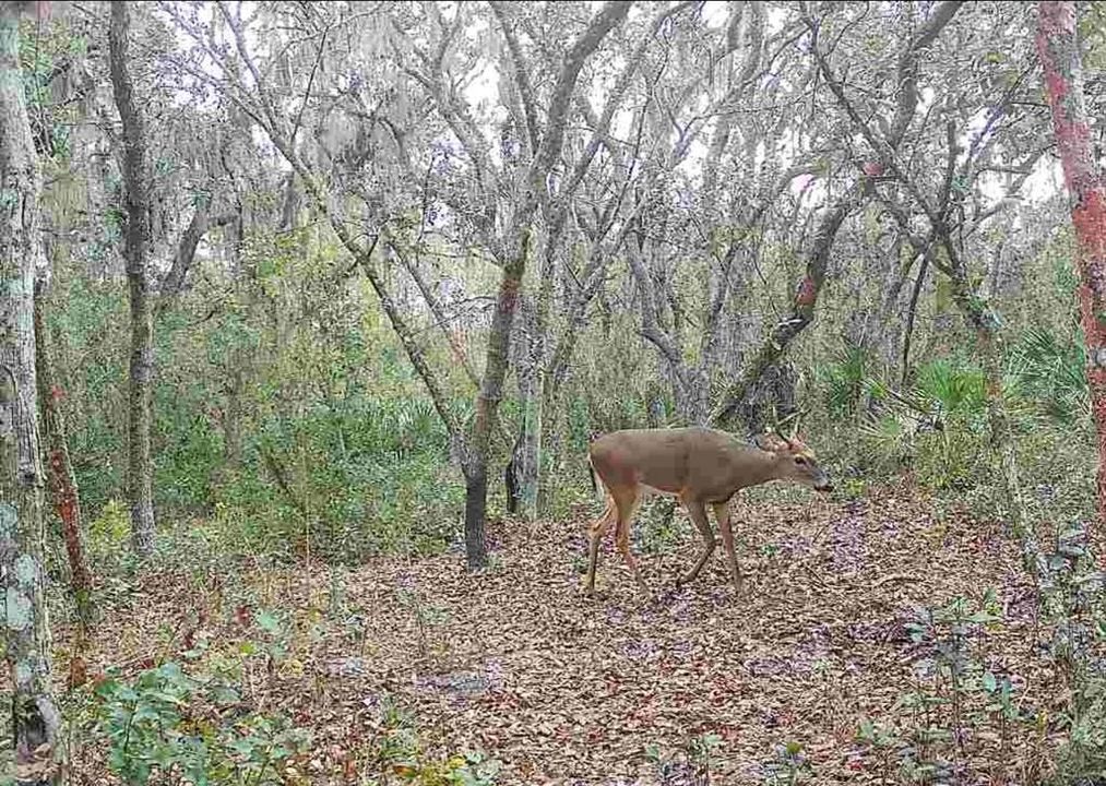 For Sale: $574,900 (4 beds, 3 baths, 2432 Square Feet)