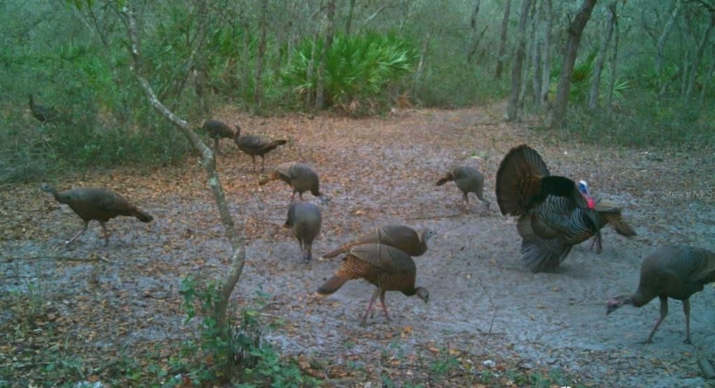 For Sale: $574,900 (4 beds, 3 baths, 2432 Square Feet)